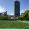 「東遊園地芝生広場の全面開放」が2017年4月21日（金）よりはじまるよ＠神戸市役所前