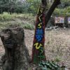 『#阪急・阪神沿線観光あるき 』掲載の「岡本桜・梅林コース」で #保久良夢ひろば と 