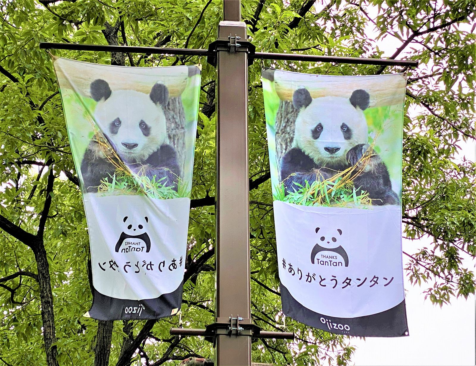 神戸の街に、ありがとう「タンタン」！バナーや懸垂幕、こうべ花時計も