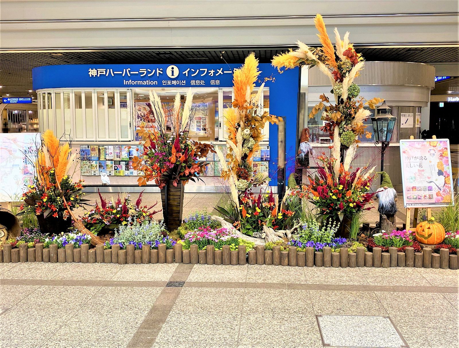 神戸の花で神戸の街を彩る 街の彩ガーデン が登場 期間限定の展示でデュオこうべも秋らしく 街の彩ガーデン 神戸の花 神戸産の花 デュオこうべ 東灘ジャーナル