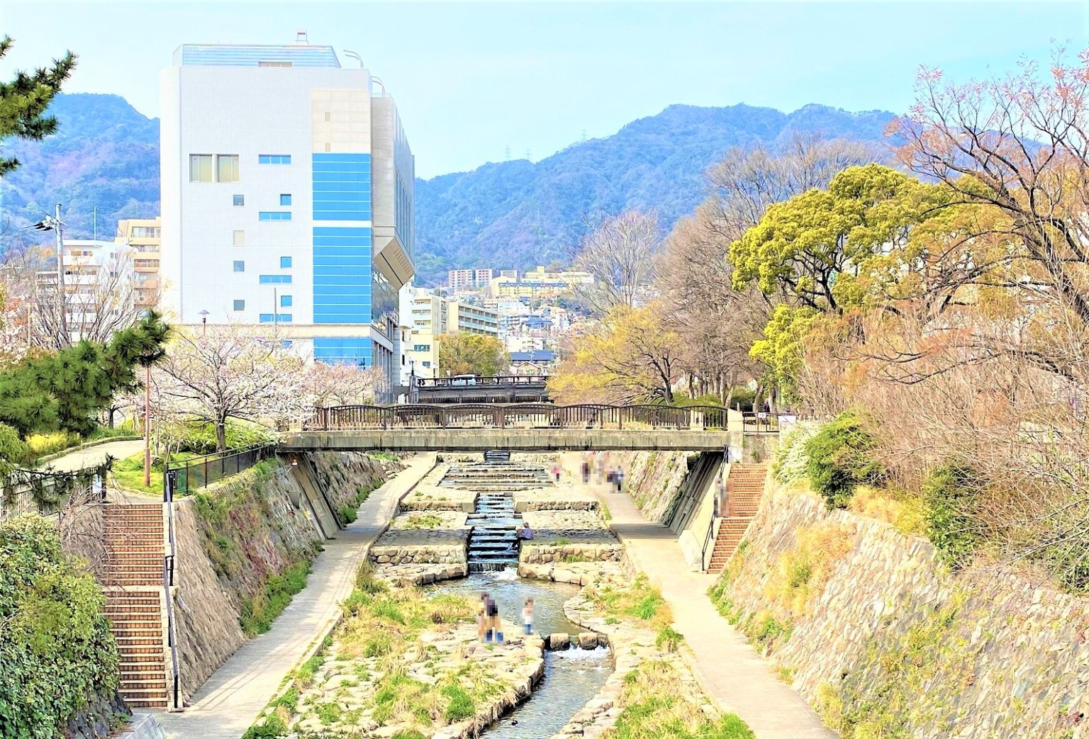 神戸・灘区の都賀川公園で「第28回なだ桜まつり」が4月1日(土)に開催予定だよ!#なだ桜まつり #お花見 #灘区 #桜 #都賀川公園 ...